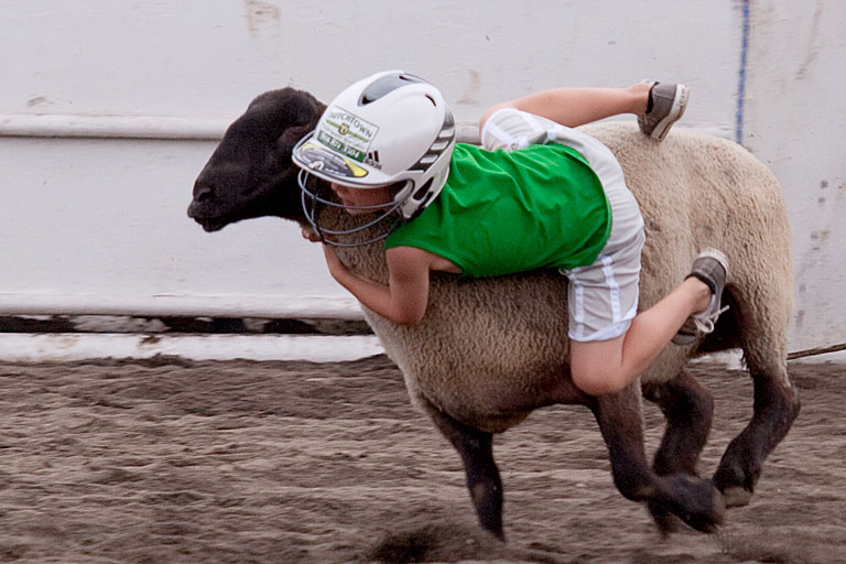 The winning mutton buster
